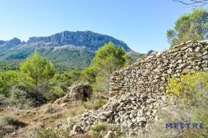 Terreno en venta en Jalon-Xalo, Montaña photo 0