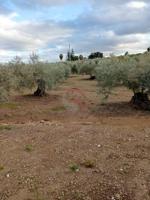 Terreno en venta en Coín, LAS DELICIAS photo 0