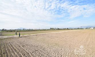 Terreno en venta en Catral, Catral photo 0