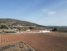 Terreno en venta en Pinoso photo 0