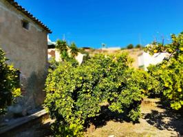 Terreno en venta en Piñar, Restabal photo 0