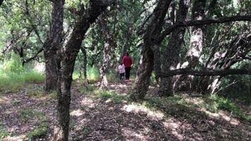 Terreno en venta en Estepona, Loma De La Pontezuela photo 0