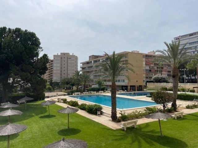 Piso en alquiler en Alicante, L'Alacantí photo 0