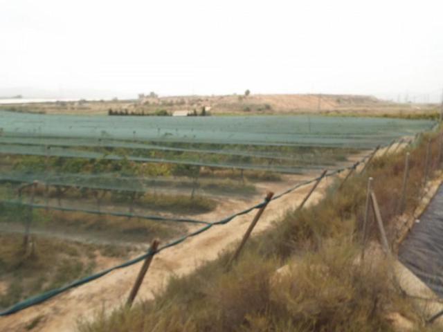 Terreno en venta en Monforte del Cid photo 0