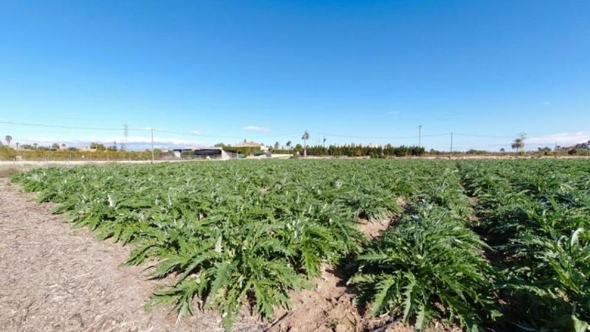 Terreno en venta en Elche, XLas bayas photo 0