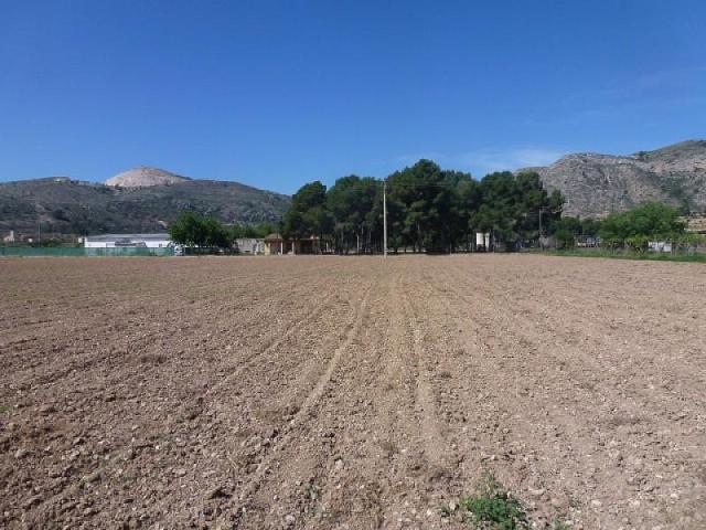 Terreno en venta en Aspe photo 0