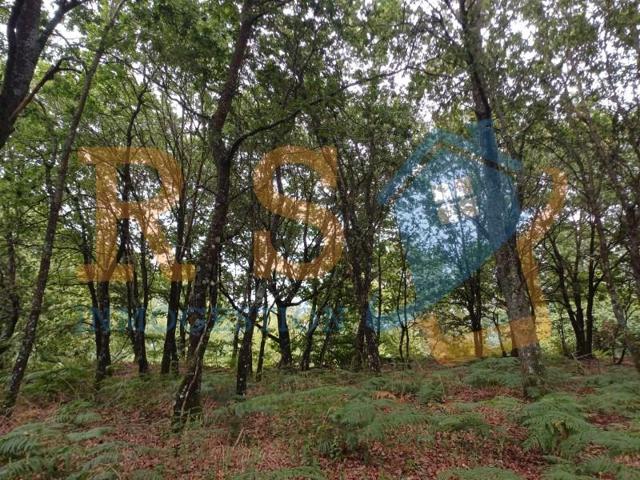 Chalet en venta en Sarria photo 0
