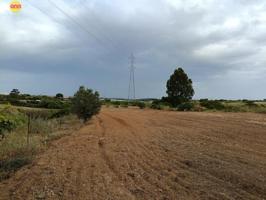 Terreno en venta en Lepe, Rural photo 0
