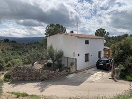 Casa con terreno en venta en Ayora photo 0