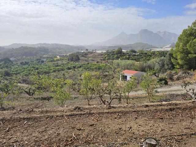 Terreno en venta en Callosa d'En Sarria, Callosa d En Sarrià photo 0