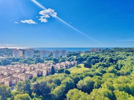 Apartamento en venta en Dehesa de campoamor photo 0