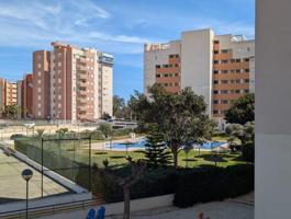 Apartamento en venta en Guardamar del Segura photo 0