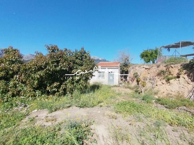 Terreno en venta en Callosa d'En Sarria, Callosa d En Sarria photo 0