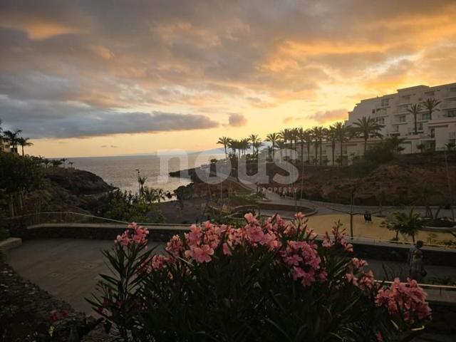 Apartamento en venta en Playa Paraiso, Marina Palace photo 0
