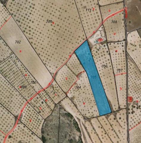 Terreno en venta en Abanilla photo 0