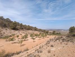 Terreno en venta en Abanilla photo 0