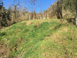Terreno en venta en Pineda de Mar, Sant feliu de manola photo 0