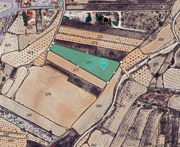 Terreno en venta en Algueña photo 0