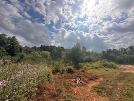 Terreno en venta en Alzira, Urbanitzacions i Pedanies Sud photo 0