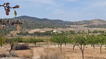 Terreno en venta en Algueña photo 0