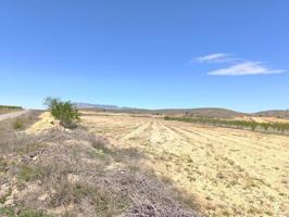 Terreno en venta en Abanilla photo 0