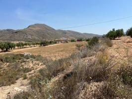 Terreno en venta en Abanilla photo 0