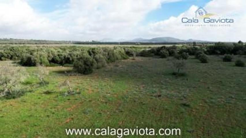 Terreno en venta en Ses Salines, Cas perets photo 0