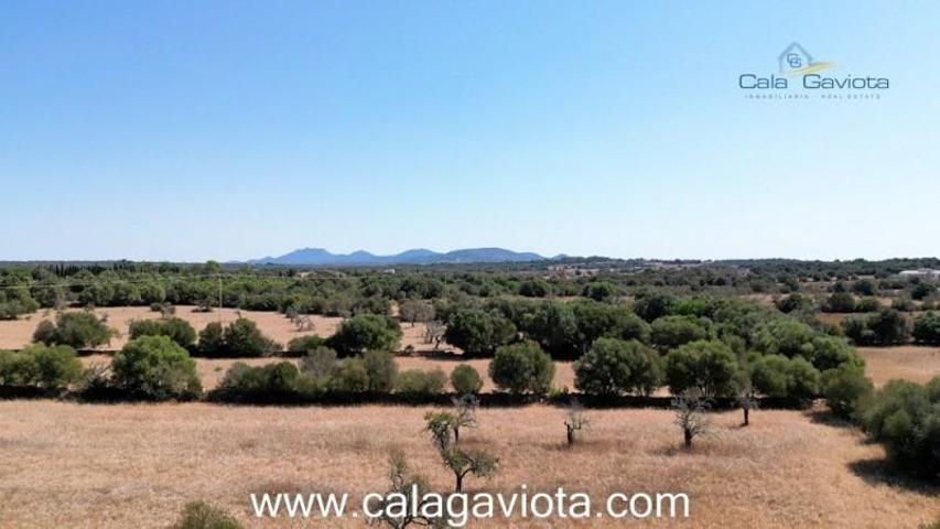 Terreno en venta en Ses Salines, SALINES SES photo 0
