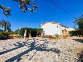 Chalet en venta en La Marina photo 0