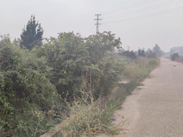 Terreno en venta en Carcaixent, Centro photo 0