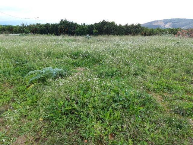 Terreno en venta en Cotes, COTES photo 0