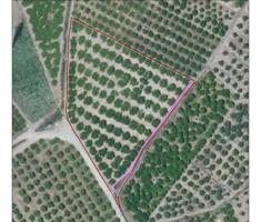Terreno en venta en Alzira, Partida Sant Bernat photo 0