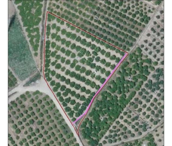 Terreno en venta en Alzira, Partida Sant Bernat photo 0