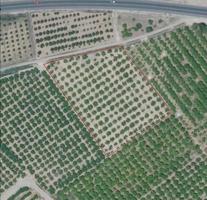 Terreno en venta en Alzira, P. Ind. nº 1 mercat d abastos photo 0