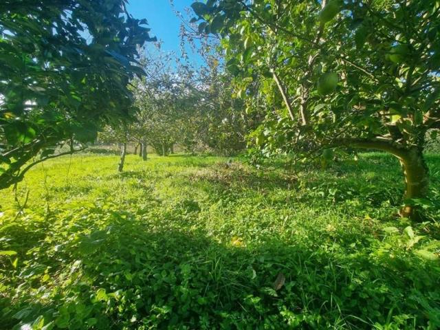 Terreno en venta en Sanxenxo, Salnés photo 0