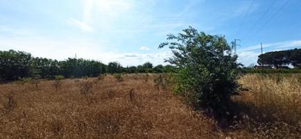 Terreno en venta en Alzira, Vilella photo 0