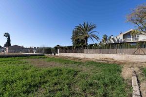 Terreno en venta en Los Dolores, Huerta photo 0