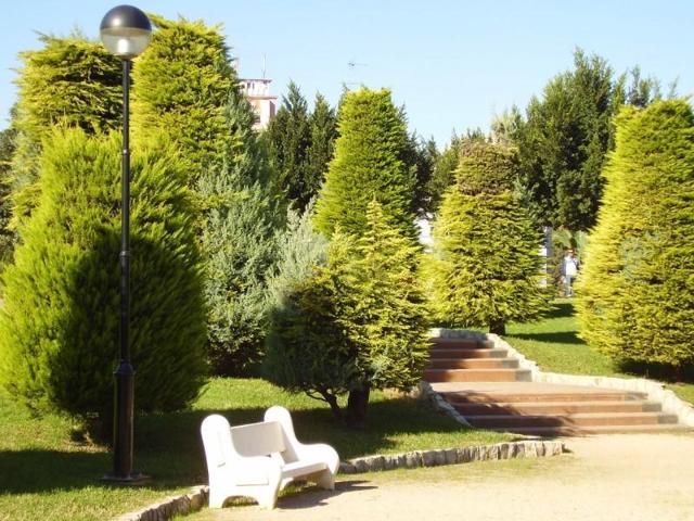 Local comercial en venta en Alzira, Alquenencia photo 0