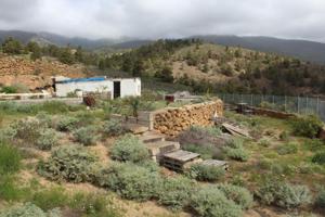 Casa con terreno en venta en Arico, Villa de arico tenerife photo 0