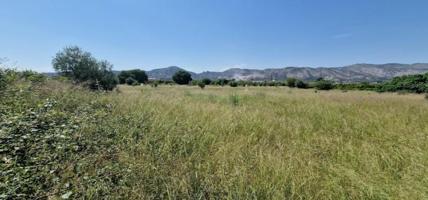 Terreno en venta en Castellón de la Plana, Norte photo 0
