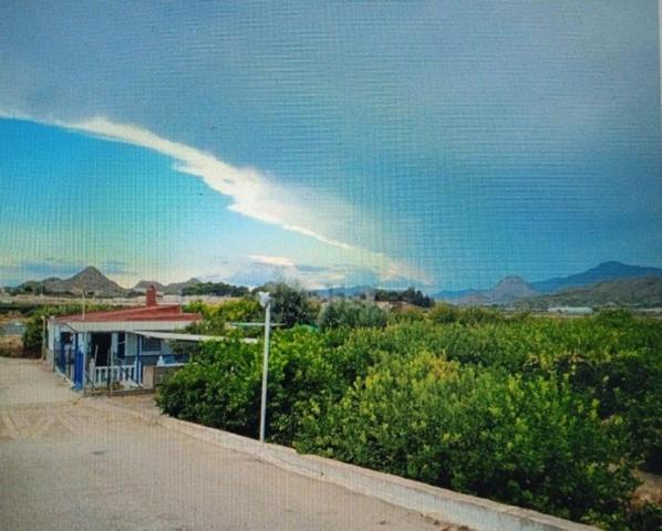 Casa con terreno en venta en Molina de Segura, El Pino photo 0