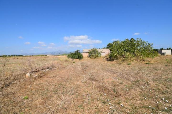 Terreno en venta en Muro, Muro photo 0