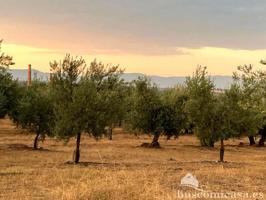 Terreno en venta en Linares, Carretera de Baños, 23700 photo 0