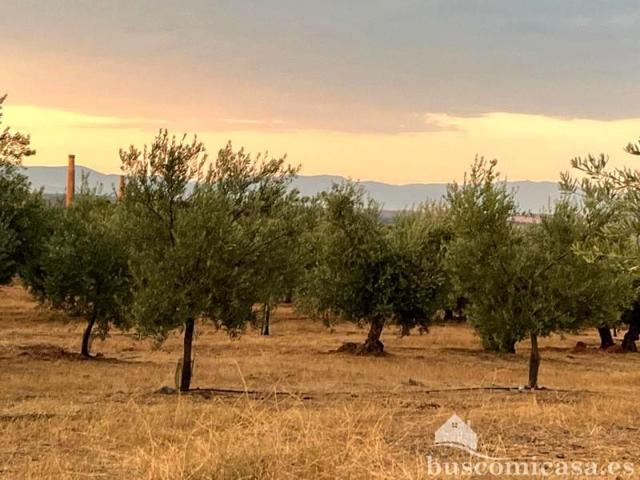 Terreno en venta en Linares, Carretera de Baños, 23700 photo 0