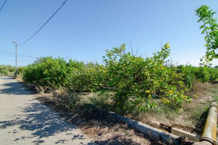 Terreno en venta en Algezares, Algezares photo 0