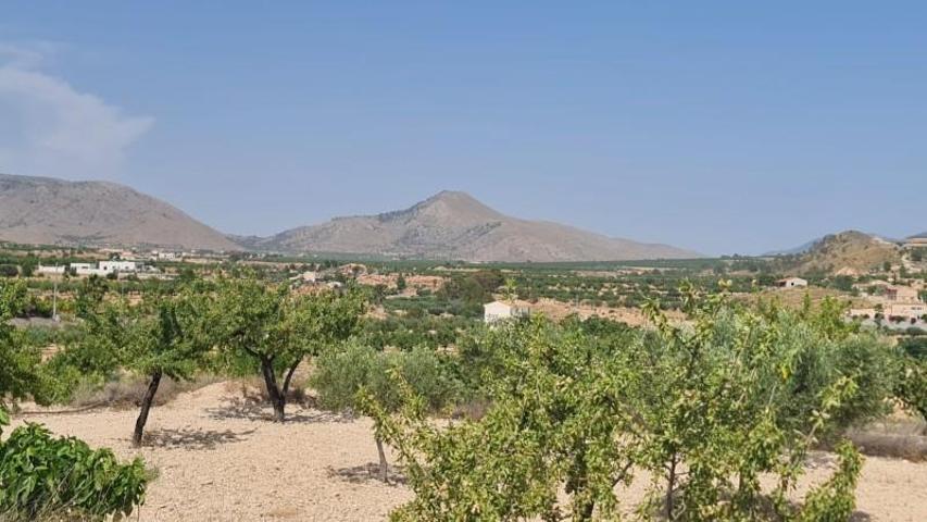 Terreno en venta en Abanilla photo 0