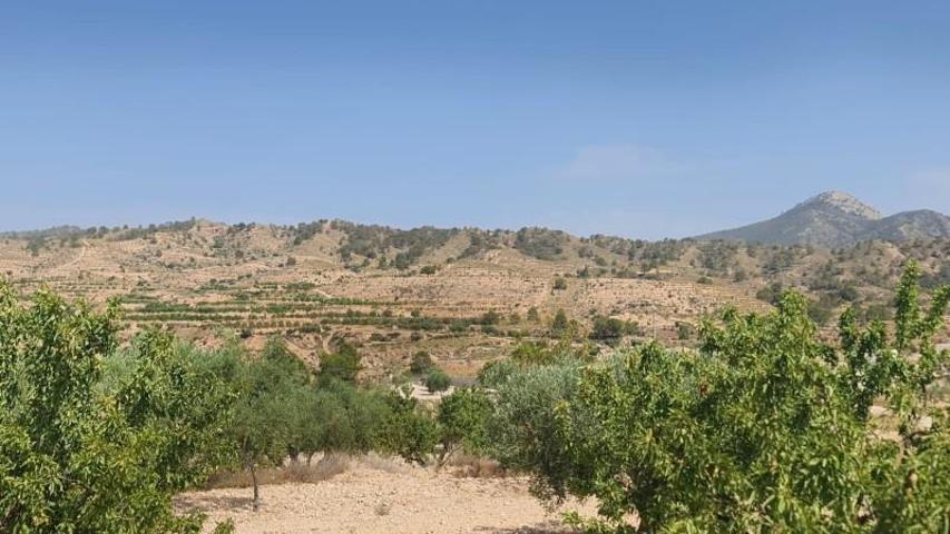 Terreno en venta en Abanilla photo 0