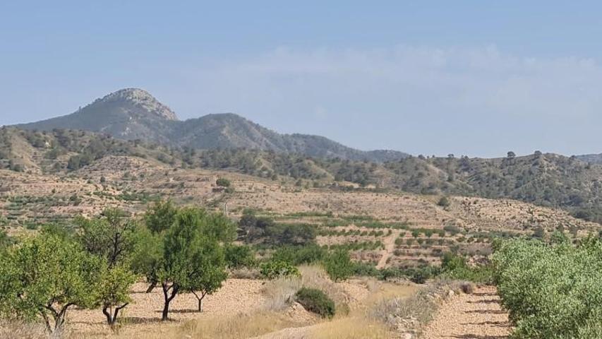 Terreno en venta en Abanilla photo 0