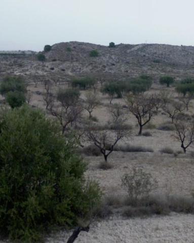 Terreno en venta en Molina de Segura, La Albarda photo 0