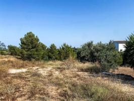 Terreno en venta en Torrent, Zona Monte REAL-Calicanto photo 0